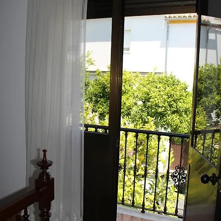 Casa Manolito Villa Prado Del Rey Exterior photo